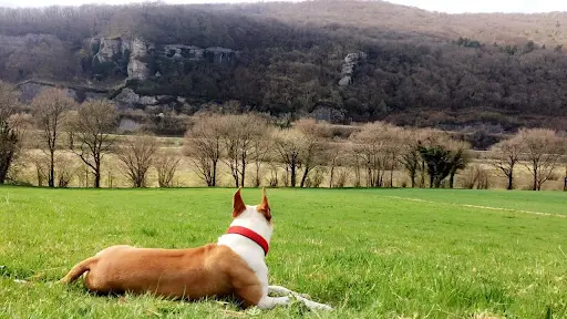 Le Domaine d'Argia