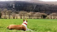 Le Domaine d'Argia