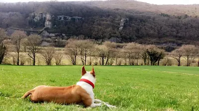 Le Domaine d'Argia