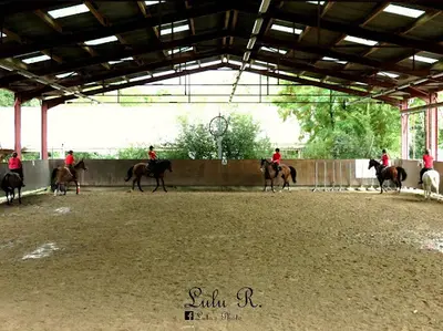 Ecole Equestre du Scheidstein