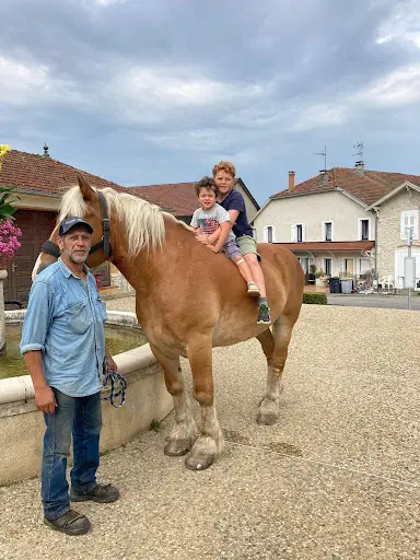 Ranch Freedom S Horses