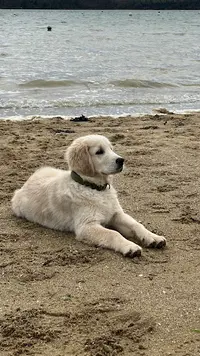Danveau Gwenn