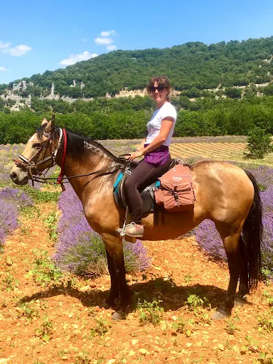 Terre A Cheval
