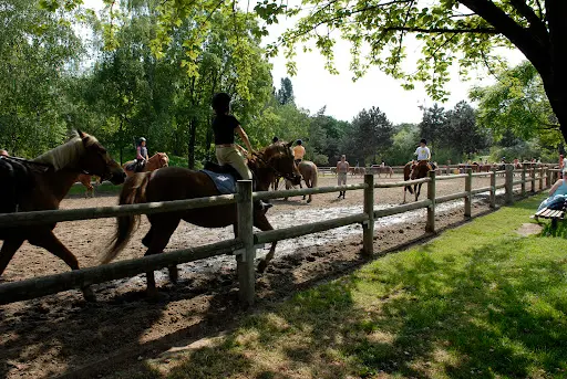 Poney Club de L’île Saint-germain