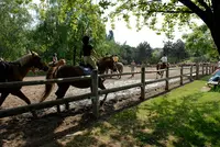 Poney Club de L’île Saint-germain