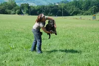 La Truffe Tranquille Educatrice Comportementaliste Canin À Domicile