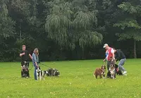 Educat Dogs & Co