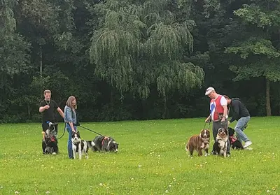 Educat Dogs & Co