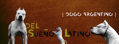Élevage Canin et Pension Canine Del Sueño Latino À Jans (loire Atlantique 44)