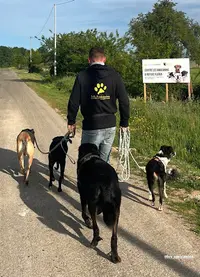 Les Amicanins