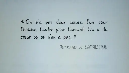Plutobeau