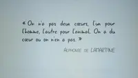 Plutobeau