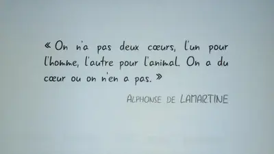 Plutobeau