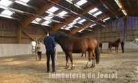 Les Ecuries d'Arion