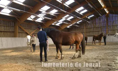 Les Ecuries d'Arion