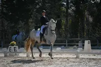 Écurie du Real