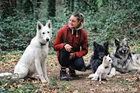Sarah Éducatrice Canin - Jonzac et Barbezieux Saint Hilaire - Éducation Canine, Activités Collectives et Mantrailing