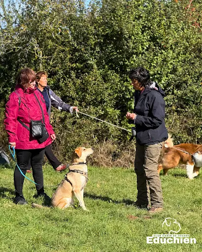 Club Canin de la Plaine de Jouars - Educhien