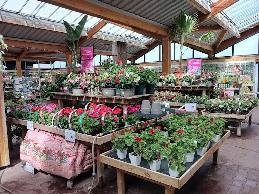 Jardiland