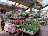 Jardiland