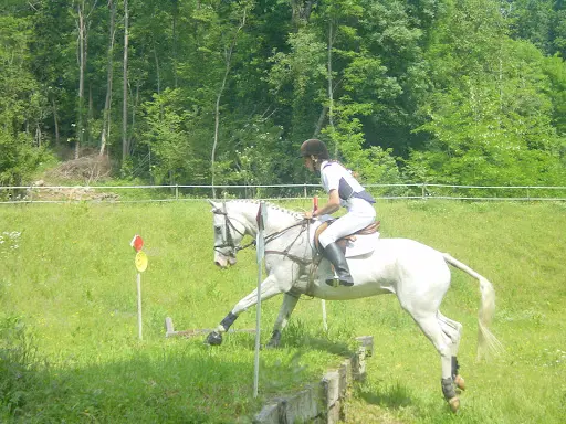 Poney Club des Ecuries de Jouy