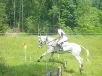 Poney Club des Ecuries de Jouy