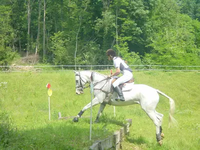 Poney Club des Ecuries de Jouy
