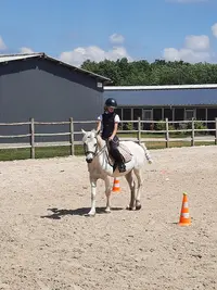 Ecurie Walter Lapertot - Ecole d'Équitation Wl