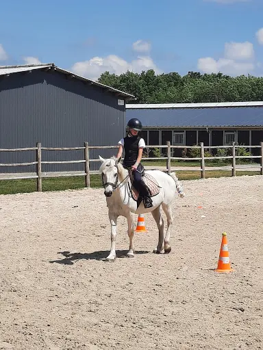Ecurie Walter Lapertot - Ecole d'Équitation Wl