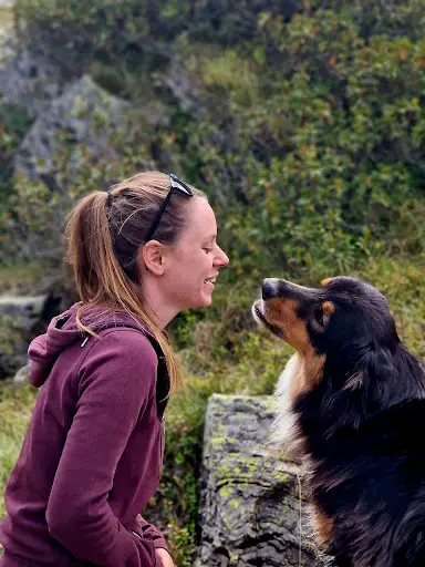 Cani Up ! - Éducateur Canin et Comportementaliste - Spécialiste du Chiot - À Tarbes, Lourdes et Ses Alentours (65)