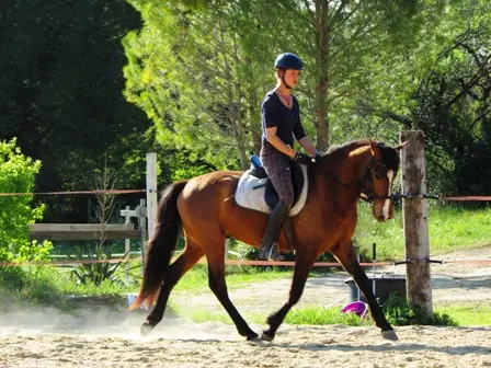 Cheval d'Ehwaz