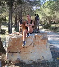 Bulle Canine d'Elo Éducateur Spécialisé Dans le Comportement Canin