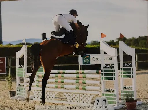 Nb Horse - Cours d'Équitation Privé - Coaching - Valorisation - Cheval & Poney
