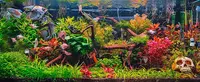 Plantéo