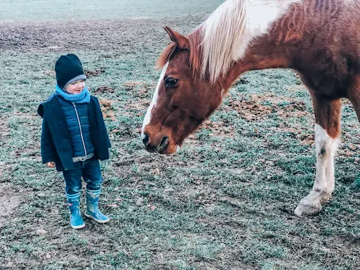 Horse Ladies