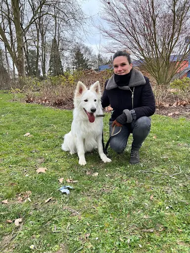 Respectdogs