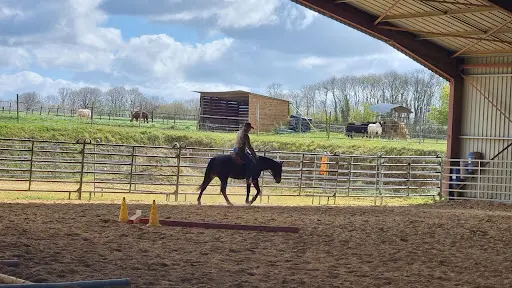 Emy Reining Horses