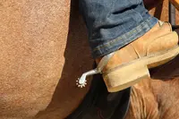 Tagada Poney (les Ecuries de l'Escarène)