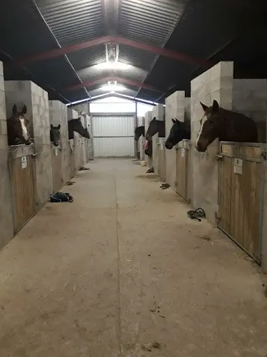 Haras des Capitelles