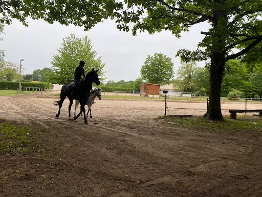 Club Hippique l'Orée de la Forêt