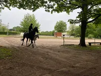Club Hippique l'Orée de la Forêt