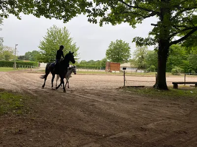 Club Hippique l'Orée de la Forêt