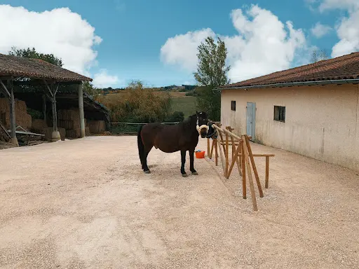 Les Grands Prés