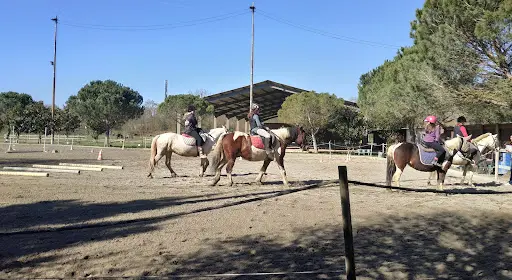 Poney Club de la Bascoulette