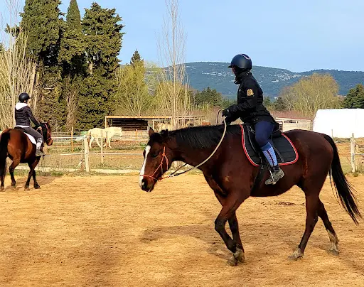 Ecurie l'Isle aux Chevaux