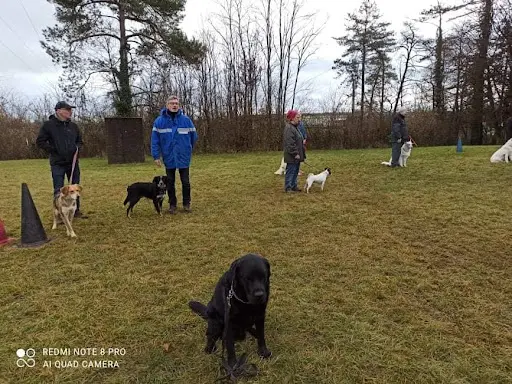 Club Canin l'Isle sur le Doubs
