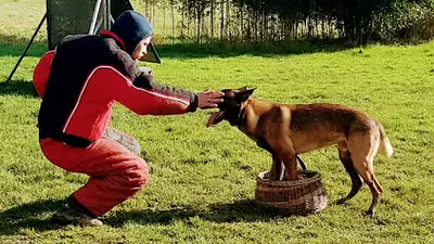 Club Canin les P Tits Coeurs