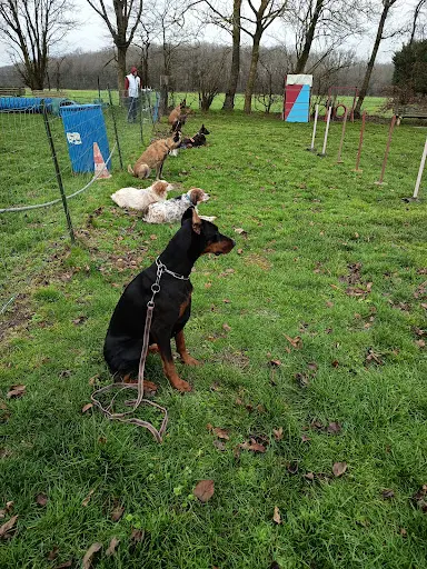 Club d'Éducation Canine d'Evreux