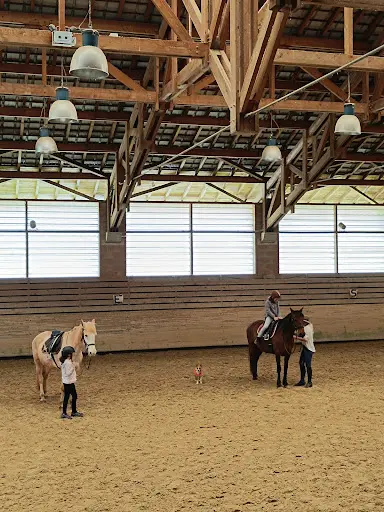 Ecole d'Equitation Equizones