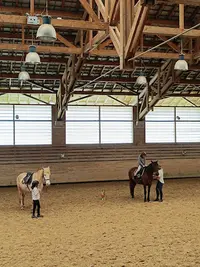 Ecole d'Equitation Equizones